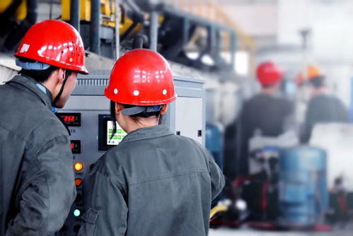 探索酿酒工程 高考志愿中不可忽视的专业选择