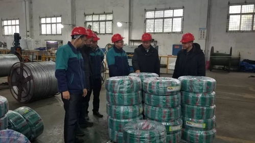 暖心回访服务优化营商环境｜柳州质检所深入企业开展技术指导