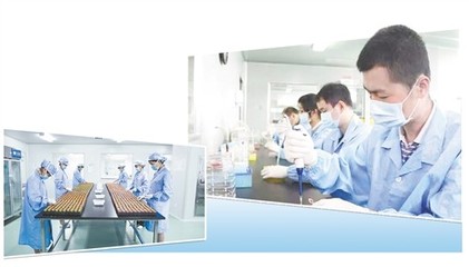 分子诊断站上“风口”，技术服务迎来新机遇