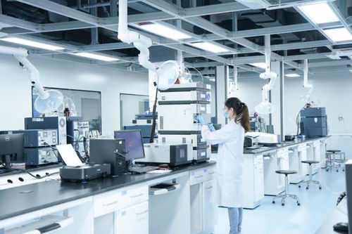 制度创新与科技创新双轮驱动 厦门海沧打通助企纾困“最后一公里”技术服务